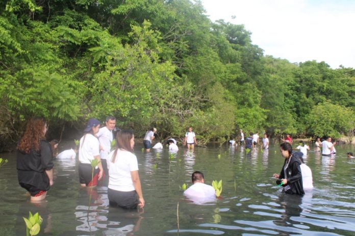Mangrove_planting_resized Joining the campaign to protect coastal ecosystems, the Guimaras Provincial Statistical Office held a mangrove planting activity on June 25. The activity was also part of the 10th anniversary celebration of the Philippine Statistics Authority. GUIMARAS PROVINCIAL STATISTICAL OFFICE PHOTO
