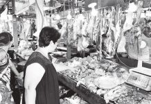 Pork imports still needed despite ASF vaccine – DA The country still needs to import pork despite the approval of the vaccine for african swine Fever, according to the Department of agriculture. AJ Palcullo/PN