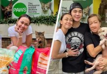 Jodi Sta. Maria donates food and equipment to Philippine Animal Welfare Society.