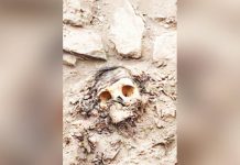 Ancient mummy found under Peru rubbish dump Students helping with the dig first spotted the mummy's hair and skull. REUTERS