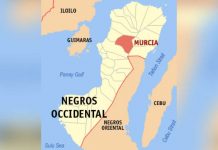 Village chief survives stabbing attack inside home in Murcia