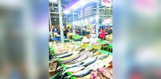 Western Visayas is “more than 100 percent sufficient” in fish. Its most abundant fish species are milkfish, sardines, mackerel, herring, and tuna. BFAR-6 PHOTO