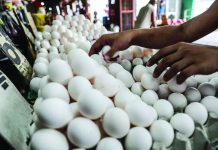 DA lifts ban on poultry from Belgium The Department of Agriculture lifts the ban on poultry meat and products from Belgium. Photo shows poultry products sold at a local wet market. JONATHAN CELLONA, ABS-CBN NEWS/FILE PHOTO