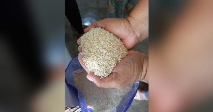 This photo from ACT Teachers’ party-list shows an alleged inedible rice distributed to teachers.