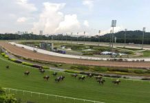 Singapore to end horse races