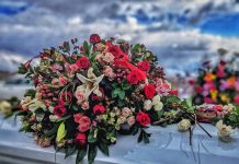 Photo by Strauss Western on Unsplash