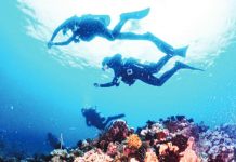 PH vows to advocate sustainable tourism Department of Tourism (DOT) secretary Christina Frasco gets to see the wonders of the sea during a dive in Puerto Galera in Oriental Mindoro province on April 12, 2023. The DOT has renewed its commitment to champion sustainable tourism on World Ocean Day. DOT PHOTO