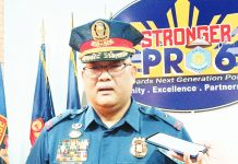 No reshuffling of city, prov’l directors – PRO-6 VILLAFLOR. AJ PALCULLO/PN