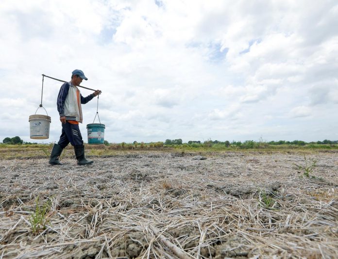 DAR_resized A farmer walks on a dried-up rice field in Sitio Maname, Naic, Cavite. The Department of Agrarian Reform (DAR) says it would guard against the wanton conversion of agricultural lands into other uses, including real estate development. PNA