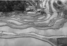 Blogger Sass Sasot, in a Facebook post on July 1, pointed out that at least six of the clips featured in the “Love The Philippines” campaign video are not located in the Philippines and were sourced from a stock video footage site including the rice terraces in Indonesia. SCREENGRABBED FROM DOT’S ‘LOVE THE PHILIPPINES’ VIDEO