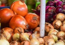 President Ferdinand Marcos Jr. ordered the Department of Justice and the National Bureau of Investigation to initiate an investigation into the hoarding, smuggling and price fixing of onions and other agricultural commodities. PHOTO COURTESY OF ABS-CBN NEWS