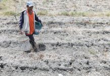 El Niño unlikely to have huge impact on inflation —NEDA There is a high probability that El Niño weather phenomenon may become moderate and strong during the last quarter of 2023, according to the Philippine Atmospheric, Geophysical and Astronomical Services Administration. PNA FILE PHOTO