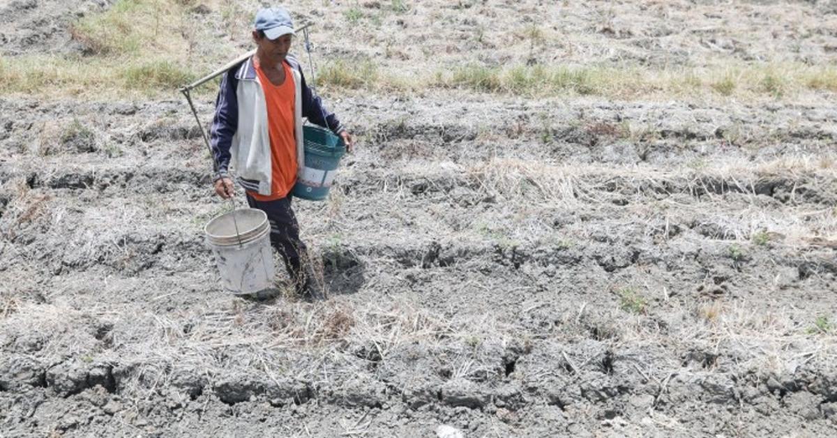 El Niño unlikely to have huge impact on inflation —NEDA