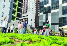 PH to post fastest growth in ASEAN in 2023 – research org Photo shows the BGC Urban Farm in Taguig set up by in conjunction with the local government and advocacy groups to promote urban farming. JONATHAN CELLONA/ABS-CBN NEWS PHOTO