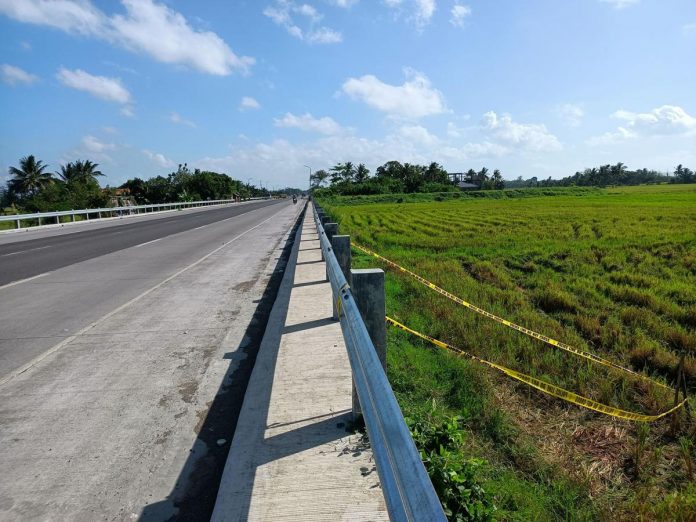 Glen Paloma was found hogtied and with six gunshot wounds in this rice field in Barangay Calaboa, Leganes, Iloilo on March 26, 2023. AJ PALCULLO/PN