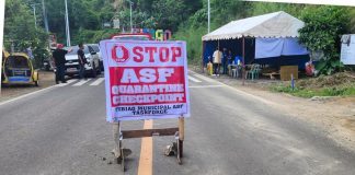 All incoming and outgoing vehicles are subject to surveillance at the African Swine Fever checkpoint in Lapaz, Tibiao, Antique. Executive Order No. 32 regulates the movement of hogs going to and within the municipality. PROVINCE OF ANTIQUE FACEBOOK