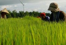 NEDA calls for investments in agri modernization The National Economic and Development Authority says there is a need to invest in appropriate technology to increase the country’s agricultural output. DEPARTMENT OF AGRICULTURE PHOTO
