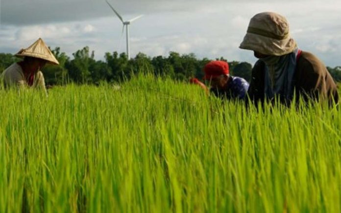 agri_modernization_resized The National Economic and Development Authority says there is a need to invest in appropriate technology to increase the country’s agricultural output. DEPARTMENT OF AGRICULTURE PHOTO