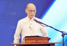 Maharlika Corp. seen to start investment activities in Q1 2024 DIOKNO. DOF FILE PHOTO