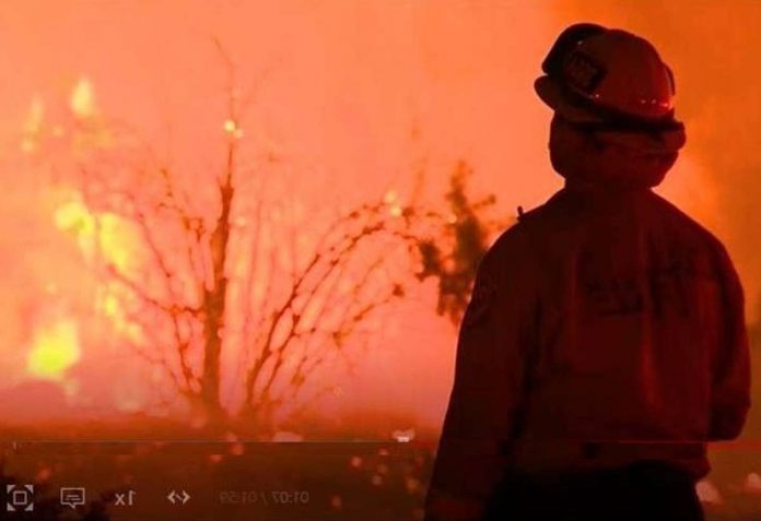 california_resized A firefighter stands helpless before a wildfire in Prado, California. BBC
