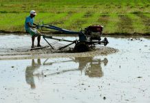 New irrigation methods readied for onset of El Niño A farmer in Guimba, Nueva Ecija rides his tractor preparing a parcel of his rice field for rice seedlings. ANGIE DE SILAVA, ABS-CBN NEWS/FILE PHOTO