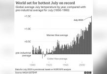 July set to be world’s warmest month on record