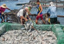 The World Bank says improving access to markets will help farmers and fisherfolk in rural areas raise their incomes and elevate their standards of living. PNA FILE PHOTO