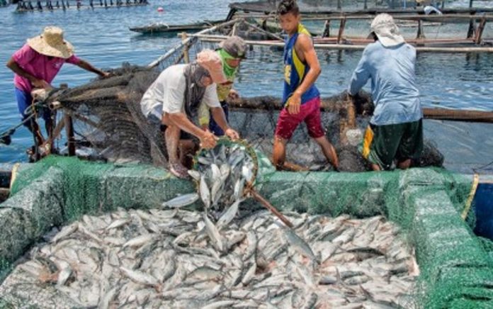 loan_resized The World Bank says improving access to markets will help farmers and fisherfolk in rural areas raise their incomes and elevate their standards of living. PNA FILE PHOTO