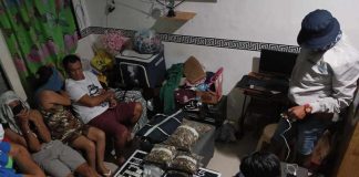 Over three kilograms of "magic mushrooms" and suspected shabu were seized from three suspects in Barangay Cabug, Bacolod City on Monday, July 11. BCPO PHOTO