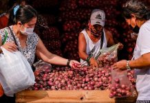 DA assures sufficient supply of onions during off-peak season The country consumes 4,000 metric tons of yellow onions and 17,000 metric tons of red onions every month, according to the Department of Agriculture’s Bureau of Plant Industry. PHOTO COURTESY OF ABS-CBN NEWS
