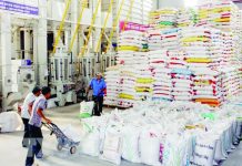 Vietnam expressed intention to continue exporting rice to the Philippines amid possible supply woes due to El Niño. In 2019, Vietnam shipped USD884.94 million worth of rice to the Philippines. VNA PHOTOVietnam expressed intention to continue exporting rice to the Philippines amid possible supply woes due to El Niño. In 2019, Vietnam shipped USD884.94 million worth of rice to the Philippines. VNA PHOTO