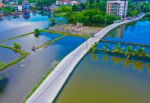 660-km farm-to-market roads improved farmer-consumer link This 1.3-kilometer farm-to-market road in Barangay Lucao, Dagupan City eases the transport of aquaculture products from the village to the city's market. DPWH-ILOCOS PHOTO