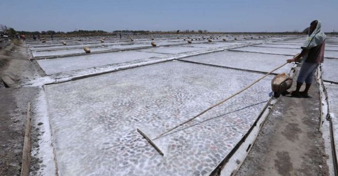 salt_industry_resized Under House Bill 8278, or the proposed Philippine Salt Industry Development Act, salt is classified as a basic agricultural product with all its necessary legal and regulatory implications. Photo shows the Borlongan Aqua Salt Farm in Barangay Banog Norte, Bani, Pangasinan. PNA PHOTO BY JOEY O. RAZON