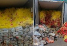 BOC probes 2 consignees over P1-M abandoned onions White onions from China loaded in 10 containers worth almost P1 million have grown leaves while some found rotting as the Bureau of Customs - Port of Cebu's Auction and Cargo Disposal Unit inspected it for inventory. BOC-Cebu District Collector Ciriaco Ugay ordered the condemnation of the white onions and instructed the Legal Division to investigate the two consignees who abandoned the shipment at the Cebu International Port. BOC-CEBU PHOTO