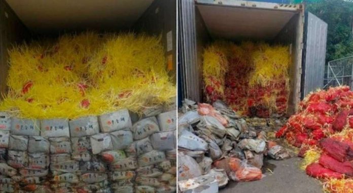 White onions from China loaded in 10 containers worth almost P1 million have grown leaves while some found rotting as the Bureau of Customs - Port of Cebu's Auction and Cargo Disposal Unit inspected it for inventory. BOC-Cebu District Collector Ciriaco Ugay ordered the condemnation of the white onions and instructed the Legal Division to investigate the two consignees who abandoned the shipment at the Cebu International Port. BOC-CEBU PHOTO