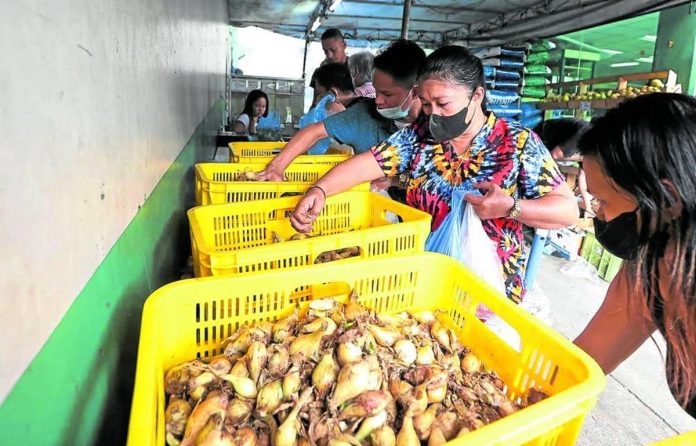 smuggling_resized PRICEY ONIONS. Customers buy white onions at a discounted price of P150 per kilo at the Kadiwa Store at the Department of Agriculture in Quezon City. NIÑO JESUS ORBETA, PHILIPPINE DAILY INQUIRER