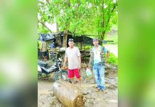 Vintage bomb found in Cadiz A vintage bomb, believed to be from World War II, was unearthed in Cadiz City, Negros Occidental on Monday, July 24. FERRER FACEBOOK PHOTO