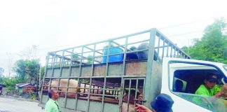 The Veterinary Quarantine Inspection Team of Hamtic, Antique and the Office of the Provincial Veterinarian inspect vehicles. OFFICE OF THE PROVINCIAL VETERINARIAN-ANTIQUE FB