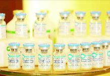 The Vietnam-made African Swine Fever vaccines will be exported to the Philippines in October. VOV.VN PHOTO