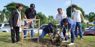 (From left) Iloilo International Airport Manager Manuela Luisa Palma with Department of Public Works and Highways assistant regional director Jose Al Fruto and Regional Director Sanny Boy Oropel, and Provincial Board member June Mondejar (in background), Iloilo’s Gov. Arthur Defensor Jr., and Santa Barbara’s Mayor Dennis Superficial during the synchronized planting of 1,300 native flowering trees