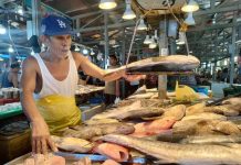 BFAR: No price hike in fishery commodities; supply still sufficient Fish vendor Jhonny Sarmiento at the Iloilo Central Market says there is sufficient supply of fish and prices are not fluctuating this August. AJ PALCULLO/PN