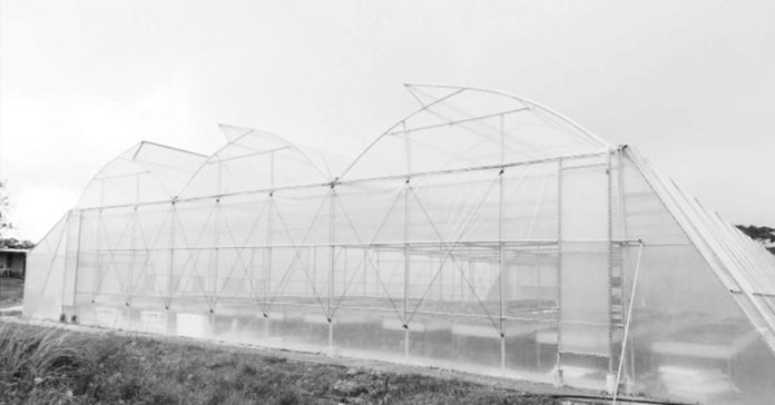 greenhouse_project_resized The greenhouses are among the features of the demonstration farm for high-value crops in Sitio Gahit, Barangay Aningalan, San Remigio, Antique. Antique Provincial Board member Karmila Rose Dimamay said during their Monday (July 31, 2023) session that electrification is needed to fully operationalize the greenhouses. (PNA file photo)