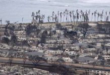 Hawaii grapples with wildfire The scale of the wildfire’s destruction in Maui, Hawaii has become clear. About 80% of the town has been destroyed, according to officials.