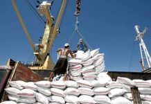 Around 300,000 metric tons of rice will arrive this month and in September in the country. File photo shows workers unloading sacks of rice from the Vietnam cargo ship in the port of Tabaco, Albay. INQUIRER FILE PHOTO