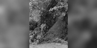 Rains in Antique province caused a landslide in the boundary of barangays Poblacion and Embrangga-an in Barbaza on Sunday, Aug. 13. MDRRMO BARBAZA PHOTO VIA RADYO BANDERA ANTIQUE