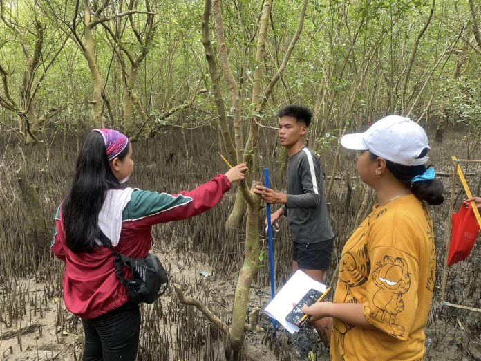 mangrove_resized Various stakeholders work together to assess the mangrove ecosystem in President Roxas, Capiz, in celebration of World Mangrove Day. CaPENRO PHOTO