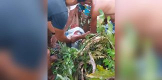 Residents of Barangay Cajilo rescued a four-year-old girl placed inside a sack allegedly by her 15-year-old cousin on Saturday, Aug. 26. REI GREGORIO