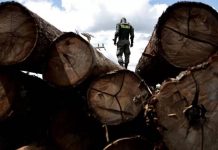 Amazon deforestation at 6-year low Photo courtesy of Reuters
