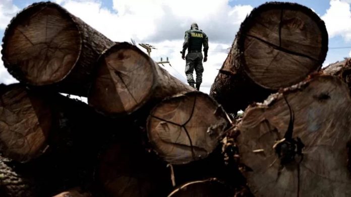 reuters-deforestation-brazil Photo courtesy of Reuters