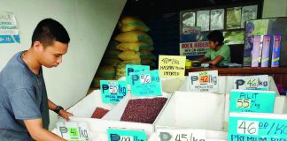 RICE is the country’s staple food. In Iloilo, the provincial government is checking reports that the retail price of rice increased by P4 per kilo. AJ PALCULLO/PN